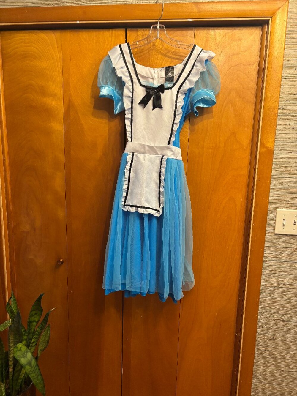Alice in Wonderland Halloween Costume